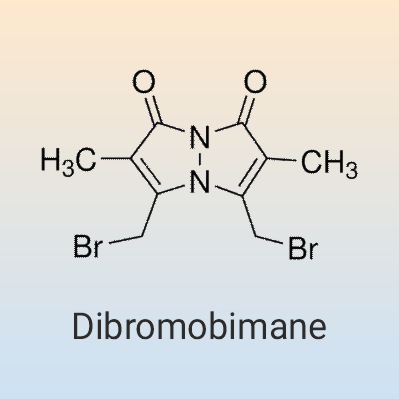 Dibromobimane